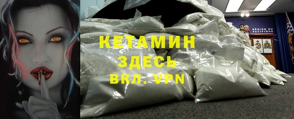 PSILOCYBIN Тайга