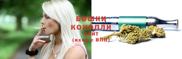 PSILOCYBIN Вязьма