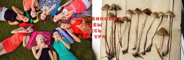 кокаин премиум Сясьстрой