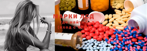 PSILOCYBIN Тайга