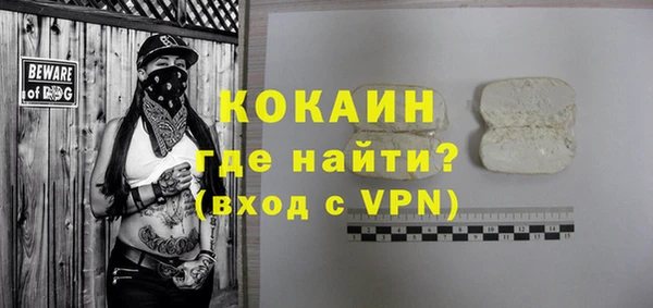 PSILOCYBIN Тайга