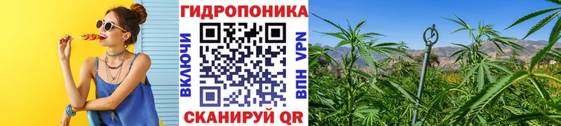 shop официальный сайт  Осинники  Канабис VHQ 